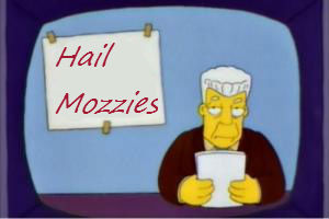 Hail_mozzies